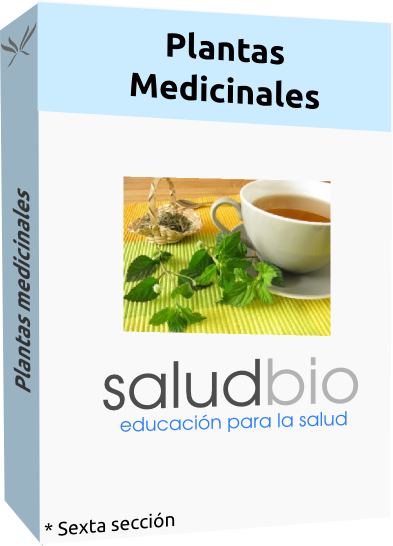 Plantas medicinales Libro