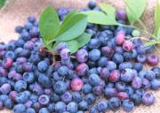 Beneficios de las antocianinas para la salud