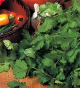 Propiedades de Coriandrum saticum (cilantro) en la Medicina China