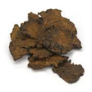 Propiedades de Ligusticum. Medicina China