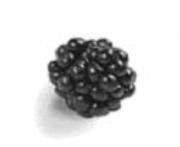 Beneficios y propiedades de las moras