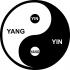 Sindromes de naturaleza Yin y Yang