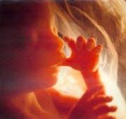 Abortion