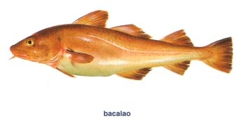 El aceite de higado de bacalao sus funciones El aceite de higado de bacalao sus funciones