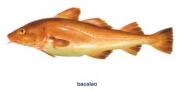 El aceite de higado de bacalao sus funciones
