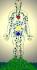 La polaridad del cuerpo humano