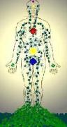 La polaridad del cuerpo humano