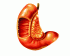 Causas y tratamientos de la duodenitis