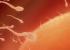 Cómo mejorar la fertilidad Cómo mejorar la fertilidad