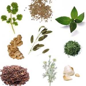 Plantas Medicinales