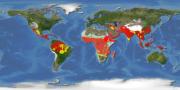 Extensión de la malaria en el mundo