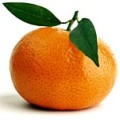 Mandarinas