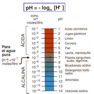 Tabla del pH de algunos alimentos Tabla del pH de algunos alimentos