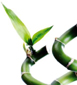 Imagen de naturopatia Imagen de naturopatia