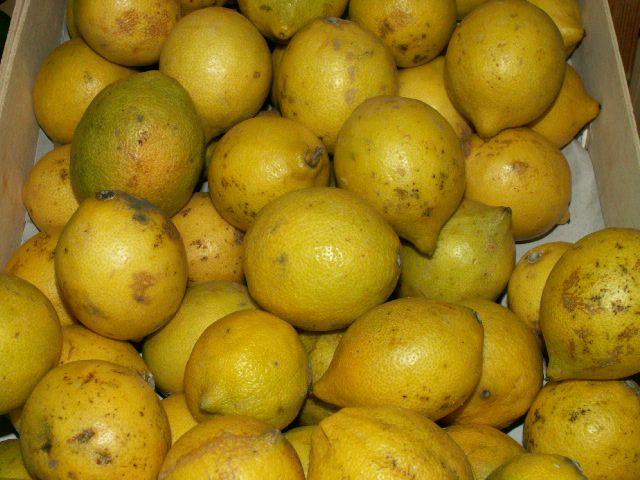 Limones, ricos en bioflavonoides