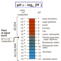 Acido, neutro y alcalino (pH)