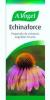 Echinacea para la cistitis