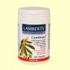 Medicina natural para la candida albicans