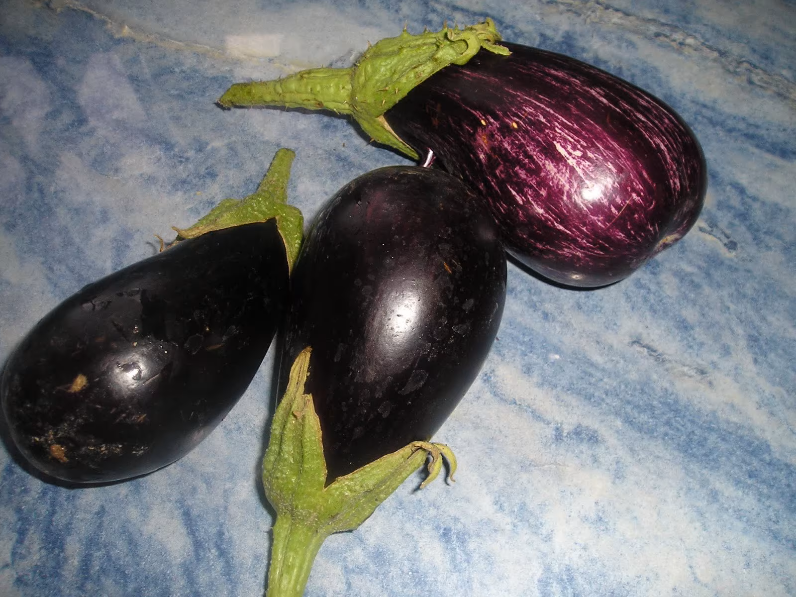 Recetas de berenjenas SaludBio