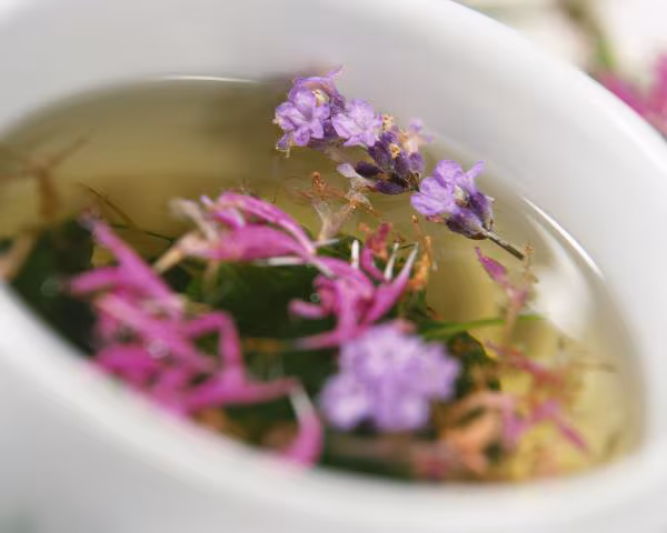 Plantas medicinales para la garganta