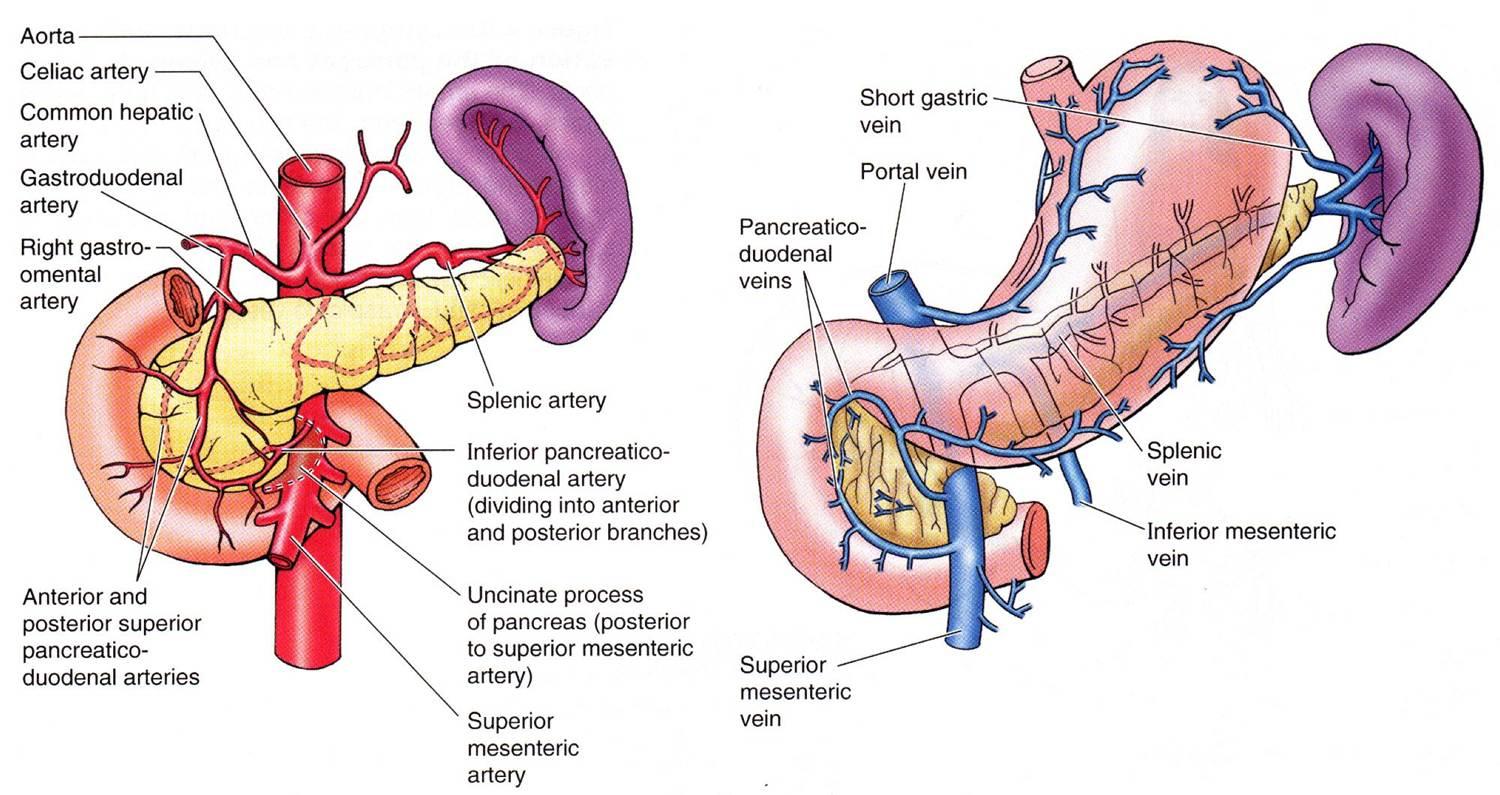 Enfermedades del páncreas