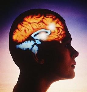Remedios de homeopatía para la epilepsia