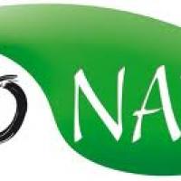 Congreso Internacional de Terapias Naturales