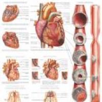 Relación entre hipertensión y corazón